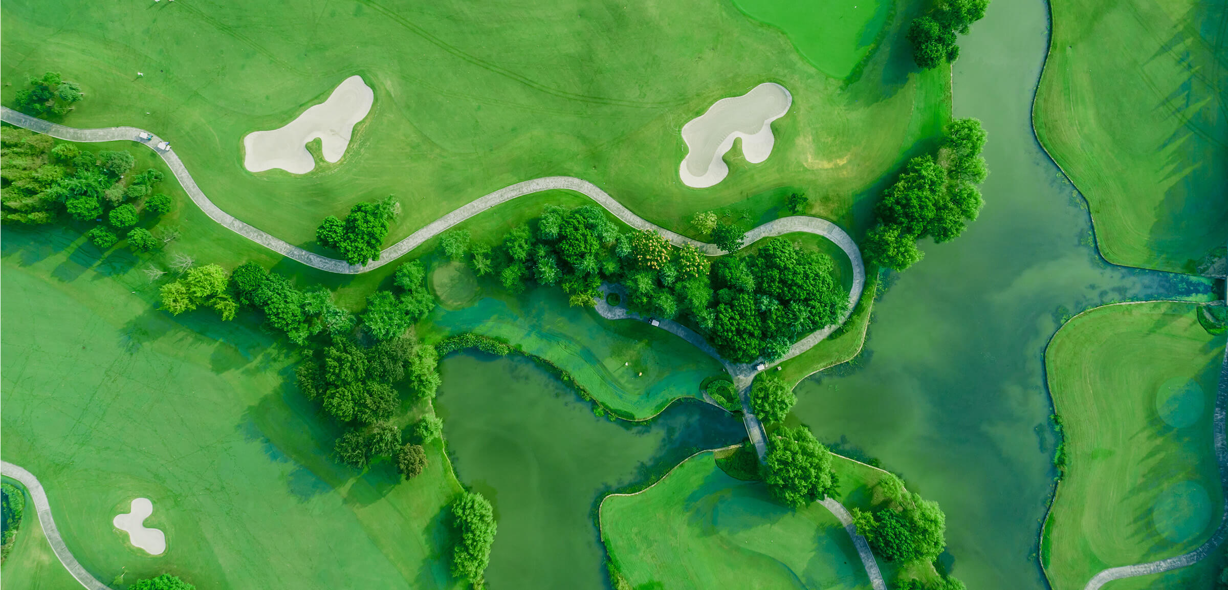 ゴルフ365日背景画像